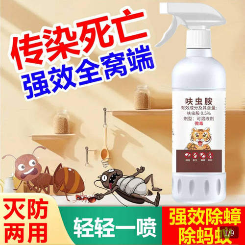 萌萌品质好物呋虫胺蟑螂