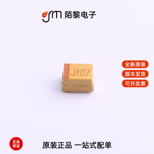 CA55-B6R3M107T|CA55-B020M336TE300|CA55-B020M226TE300全新