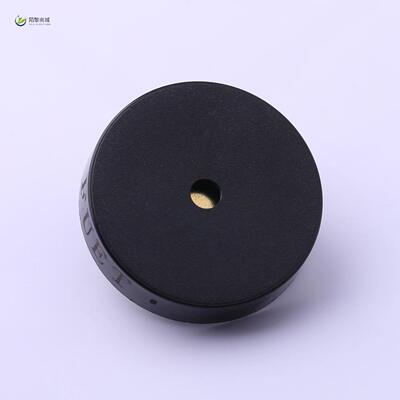 全新原装FSR-3007-12V正品/压电式12V 2.4KHZ