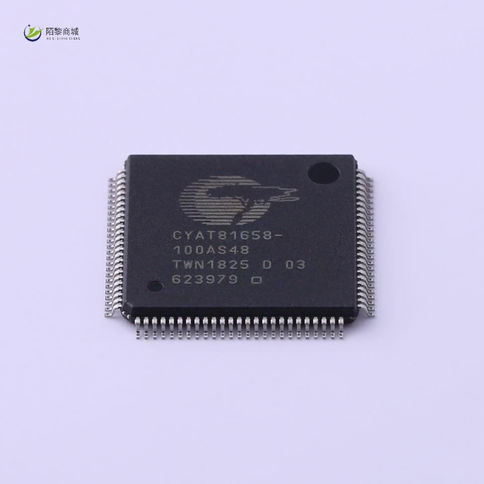 全新原装CYAT81658-100AS48正品/CYAT81658-100AS48
