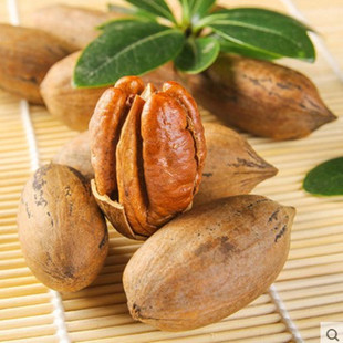 生料 优质生碧根果 松鼠粮食 仓鼠  密袋小宠  宠物零食