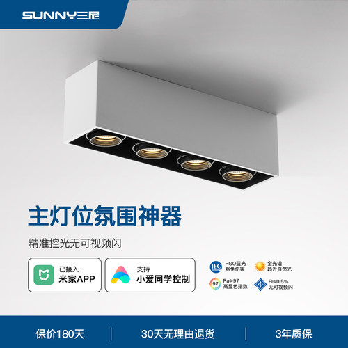 吸顶式客厅明装筒灯三尼