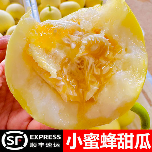 山东头茬小蜜蜂甜瓜蜜罐甜瓜星甜20网红甜瓜现摘新鲜水果香瓜蜜瓜