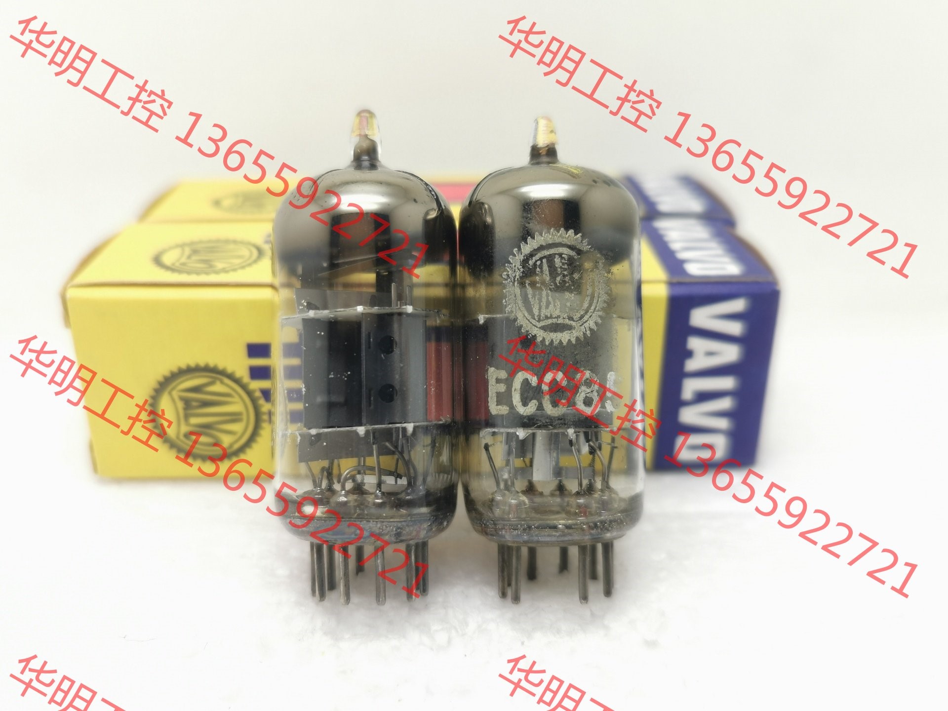 议价 50年代D环带铁片德国富豪ecc85电子管