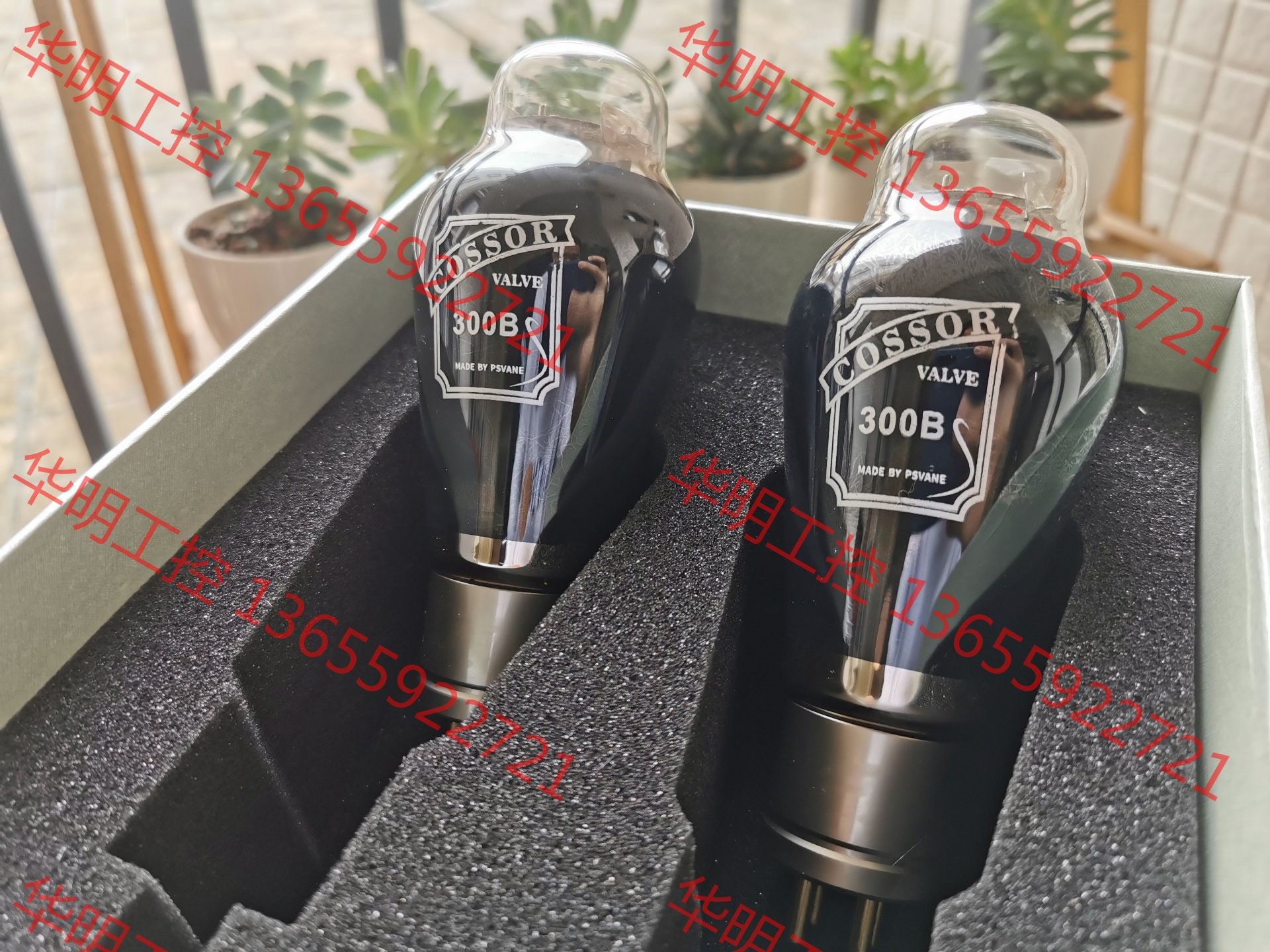 议价 贵族之声COSSOR 碳晶300B电子管 单支价格