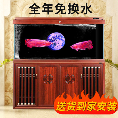 森森超白大型客厅生态鱼缸