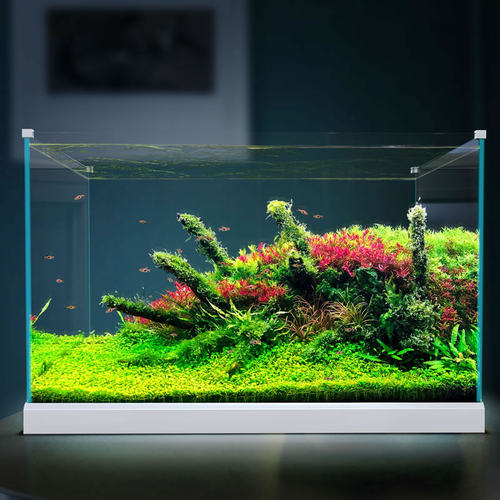 森森加宽超白玻璃鱼缸水草缸中型