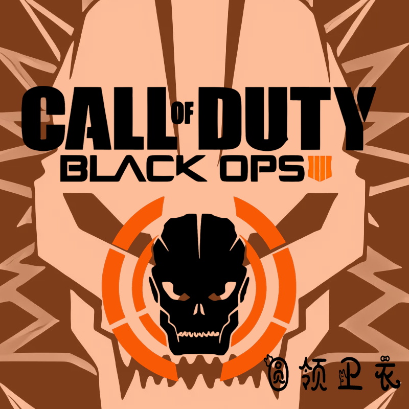 使命召唤黑色行动4射击游戏