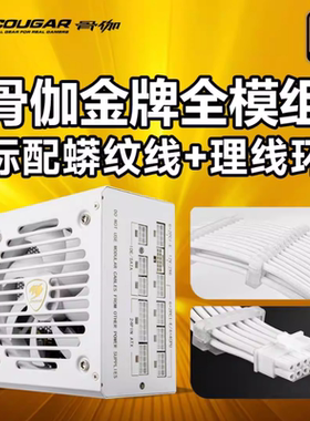 骨伽GR1000W850W750W650W电源金牌全模组台式机电源先马XP1000W白