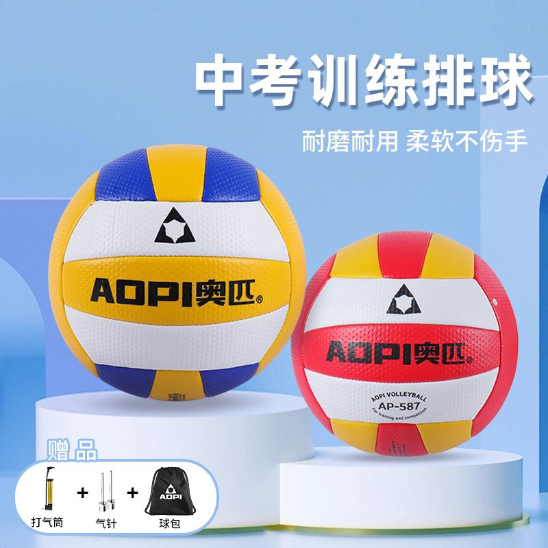 中考排球5号中学生比赛训练专用