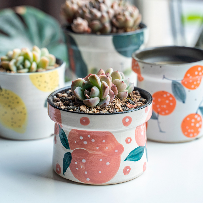 常品陶瓷中式手工韩式多肉花盆