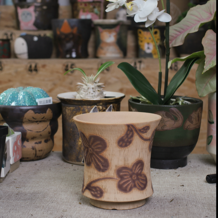 279口9.6高9.3,鲜花速递/花卉仿真/绿植园艺,花盆,淘宝优惠券,粉丝福利购,淘宝优惠卷