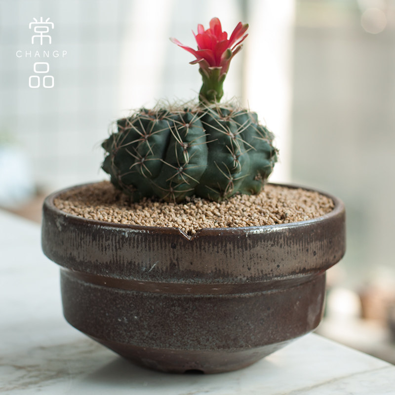 常品 陶瓷多肉花盆大号中式日系手工拼盆 创意绿植专用大口花盆