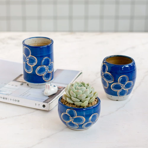 Обычные синие и белые окрашенные золотые мясистые растения в крылох цветочных горшках грубые керамические цветы, золотая творческая личность мякоть горшок