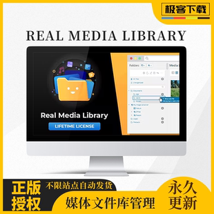 WP WordPress Real Media Library 插件 媒体文件库管理插件 附件