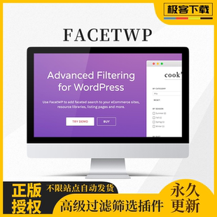 FacetWP Wordpress高级条件筛选过滤选择器插件原版激活