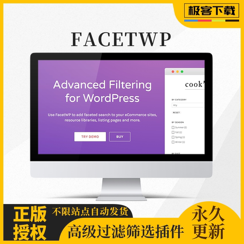 FacetWP Wordpress高级条件筛选过滤选择器插件原版激活
