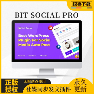 Bit Social Pro WP发文内容同步社交媒体插件 定时更新 官方原版