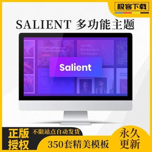 Salient主题 Wordpress多功能响应式主题已激活无限使用永久更新