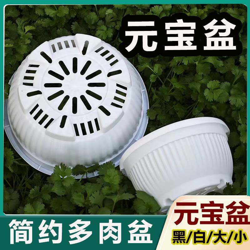 元宝盆加厚韩式多肉盆仙人球盆大口径圆形花盆塑料矮盆新款有孔,鲜花速递/花卉仿真/绿植园艺,花盆,淘宝优惠券,粉丝福利购,淘宝优惠卷