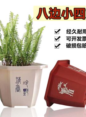 白色砖红印花文字八角文竹花盆古典盆景多肉塑料正方盆