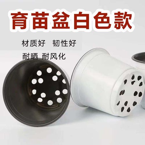 瓷白色加厚双色盆营养杯一次性简易软塑育苗盆营养钵双色花盆批发
