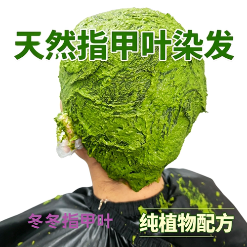 帮打好指甲叶泥散沫花叶泥送一次工具