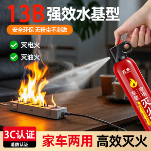 车载灭火器小车轿车消防器材车用水基私家车小型便携车内家车两用