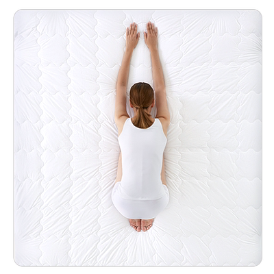 Lasuntin加厚夹棉抗菌防螨床笠