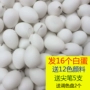 Trẻ em phôi albumin nhân tạo Vỏ trứng màu Đồ chơi mẫu giáo DIY nghệ thuật trang trí Trứng phục sinh - Handmade / Creative DIY đồ chơi em bé