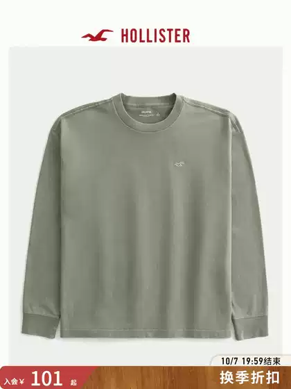 Hollister Small Seagull Pattern American Style Pure Cotton Heavyweight Classic Long-Sleeve T-Shirt 26 Spring/Summer Men's Clothing 324-6493