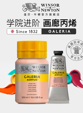 温莎牛顿画廊丙烯颜料手绘墙绘哑光丙烯60/250ML套装美术专用画DIY艺术颜料防水不掉色 金色钛白色学生专用