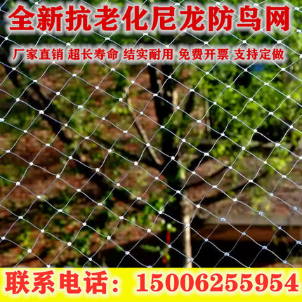 防鸟网透明尼龙网果树果园葡萄樱桃蓝莓稻谷防鸟用网鱼塘养殖天网
