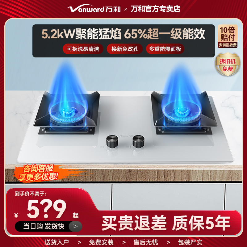 白露5.2KW猛火超一级能效燃气灶