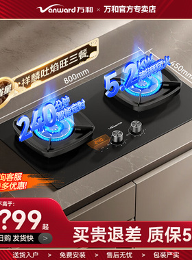 万和G9L56天然气定时燃气灶台两用嵌入式5.2kW高热效家用一级能效
