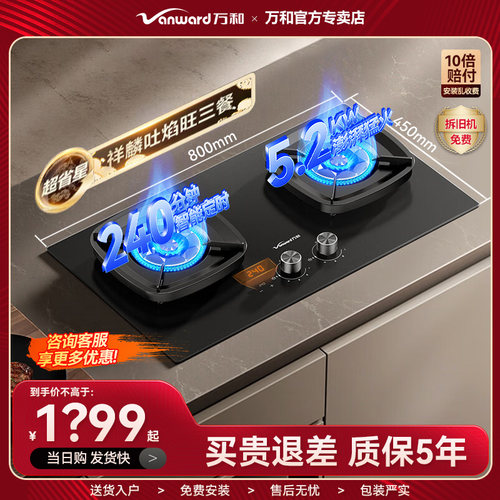 万和G9L56天然气定时燃气灶台两用嵌入式5.2kW高热效家用一级能效