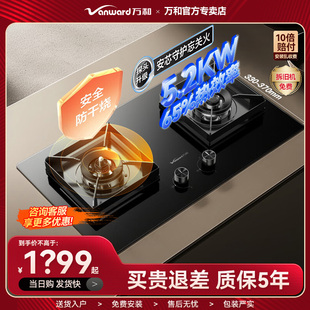 万和莲花B10 Pro防干烧天然气燃气灶5.2kW嵌入式家用煤气双炉具台