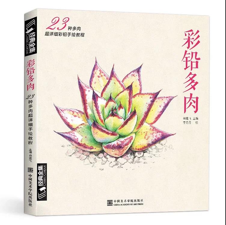 彩铅多肉植物手绘画入门临摹教程书籍彩色铅笔自学花之绘本技法飞乐零
