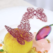 创意镂空蝴蝶硅胶模具 饰硅胶脆片点缀磨具 蕾丝分子料理摆盘装