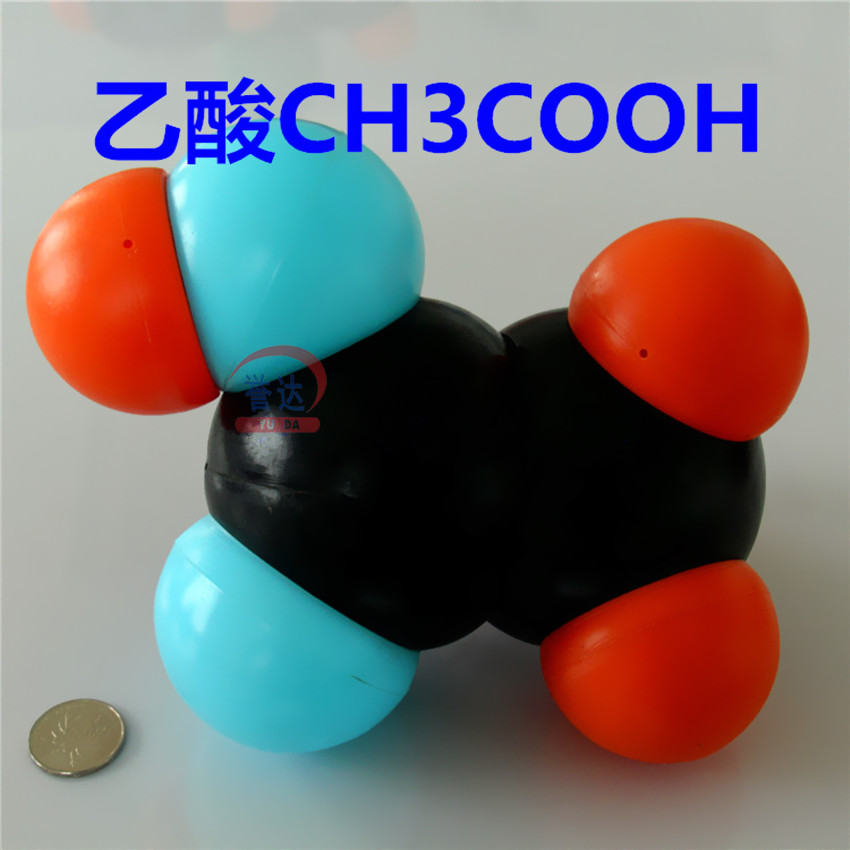 乙酸分子结构模型（大型比例模型）球直径50-100mm组合