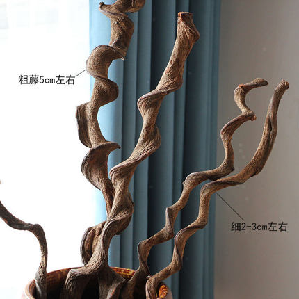 进口过江龙藤条干树枝树干枯枝客厅餐厅样板间软装饰藤条插花干支