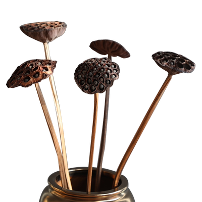 大尺寸带籽干莲蓬真杆整体装饰花