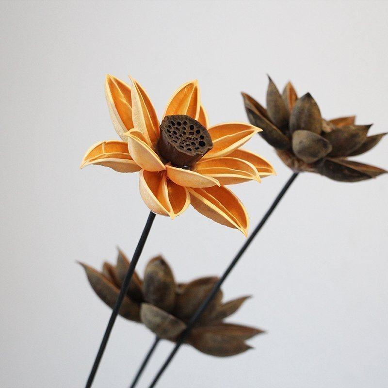 木莲花果壳花手工荷花干莲蓬植物干花装饰花落地仿真假花