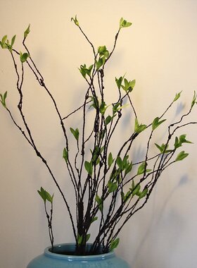 仿真小叶藤蔓藤条造型PE花卉插花