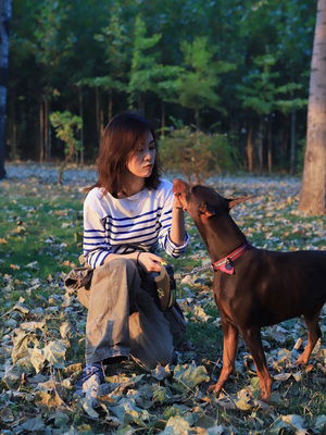 长袖厚通勤条纹纯棉女柔软厚实