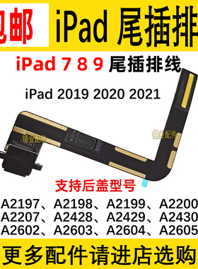 适用 iPad 7 8 9 充电口 A2270 A2603 A2428 A2200 A2019尾插排线