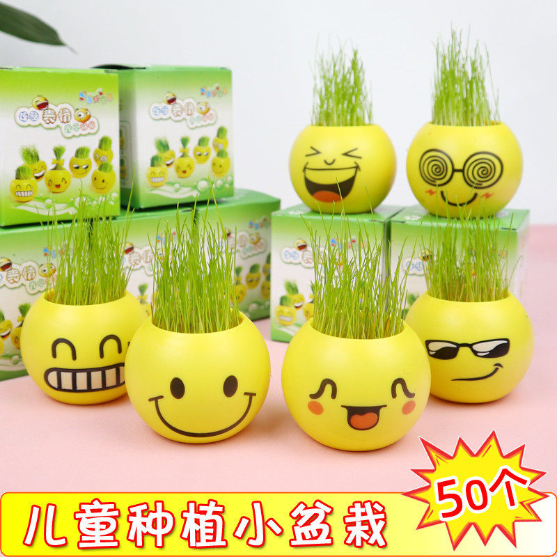 儿童节礼物植物盆栽幼儿园玩具学生奖品小礼品地推几毛钱的小玩意