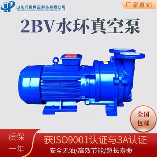 液环2BV水环式真空泵ye2国标无油泵高流量工业真空泵抽气泵可开票