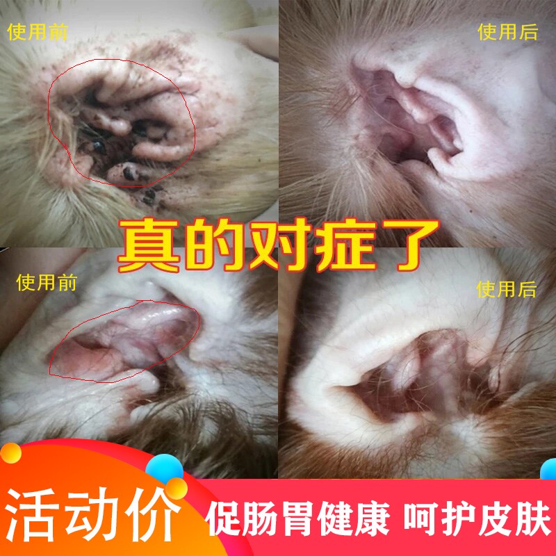 耳康狗狗猫咪滴耳液除耳炎耳螨