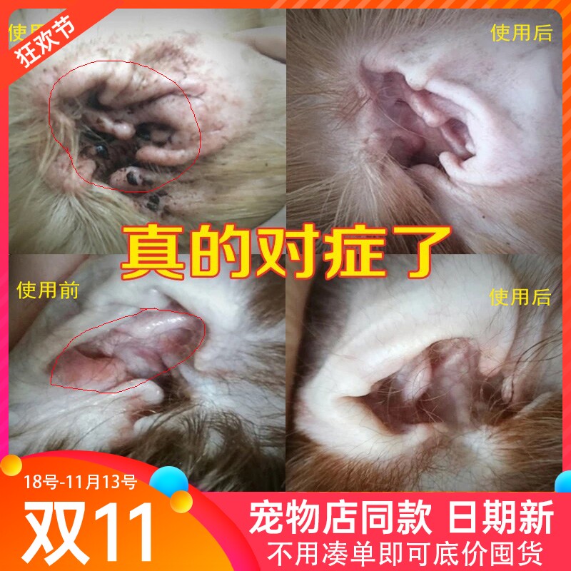 耳康狗狗猫咪滴耳液除耳炎耳螨